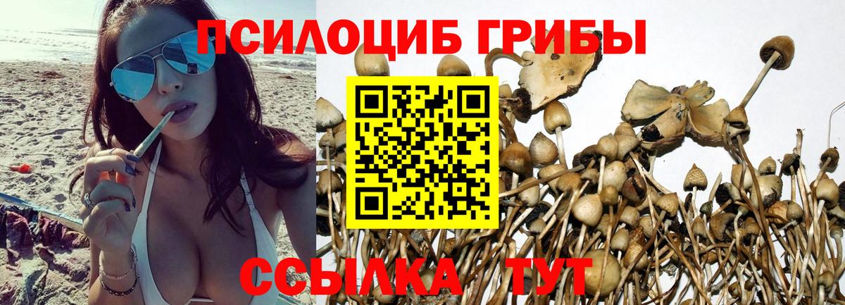 НБОМе  Трёхгорный  Меф кристаллы  Вход с VPN  Меф  МЕТАМФЕТАМИН  ГАШ  Конопля  COCAIN 