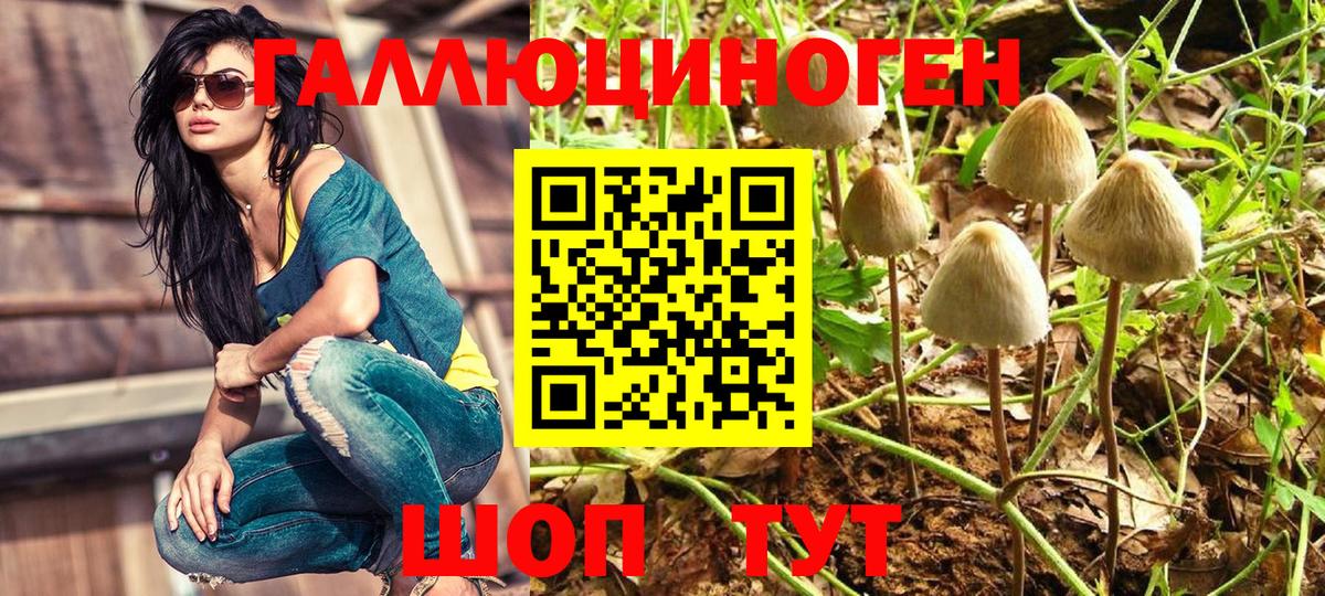Галлюциногенные грибы ЛСД Трёхгорный