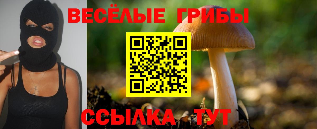 Псилоцибиновые грибы мухоморы  Вход с VPN  Трёхгорный  Галлюциногенные грибы Magic Shrooms 